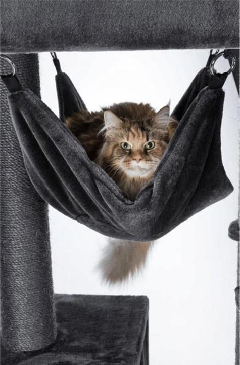 Immagine prodotto Trixie Amadeus (163 cm, Antracite)
