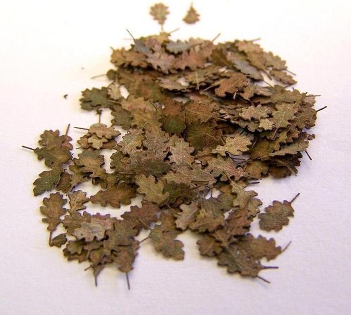 Actual product image Plus Model Maple leaves - extra colours