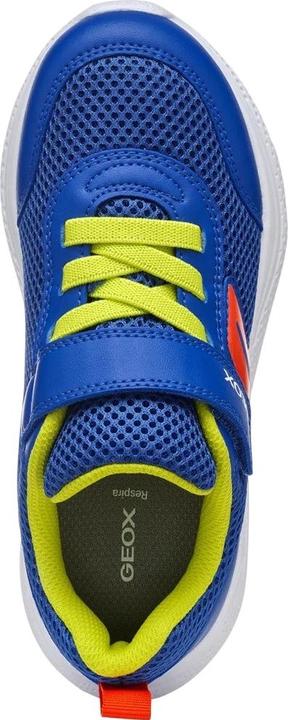 Produktbild Geox Jungen Sneaker J Sprintye (36)