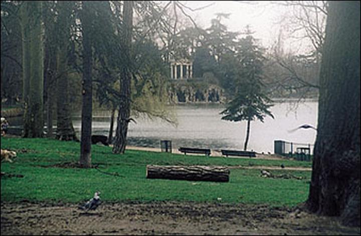 Image du produit Cokin Filtre A150 Dégradé Brouillard 1 (67 mm, Filtre dégradé gris, 62 mm)