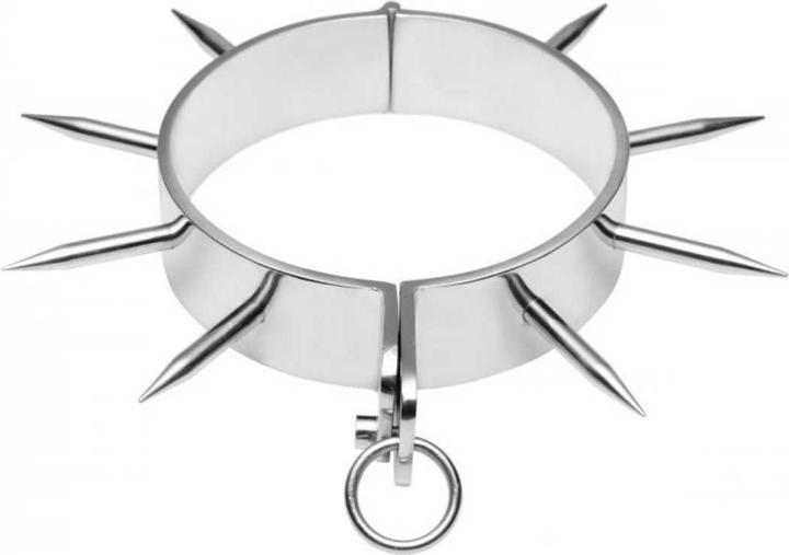Image du produit Metal Hard Metalhard Steel Slave Collars