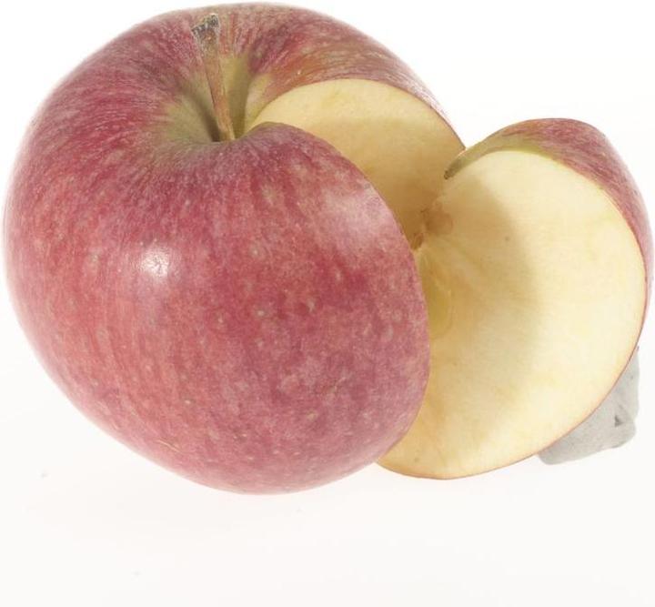 Produktbild Lubera Säulenapfel Malini Equilibro