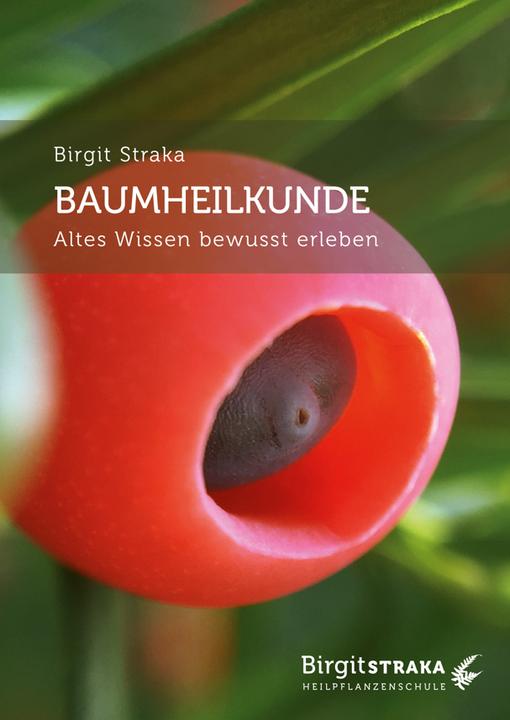 Produktbild Baumheilkunde (Deutsch, Straka, Birgit, 2021)