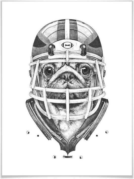 Produktbild Trenddeko American Pug Football (100 x 120 cm)