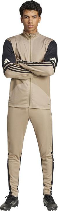 Actual product image adidas Squadra 25 training trousers (XS)