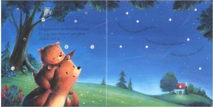 Produktbild Mein leuchtendes Gute-Nacht-Buch: Der kleine Bär zählt die Sterne (Deutsch, Sam Taplin, 2020)