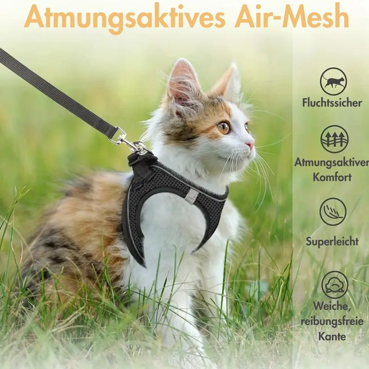 Image du produit Suba Katzengeschirr (Chat, Général)