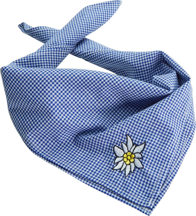 Yellow, Blue, White