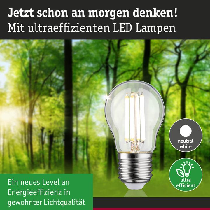 Image du produit Paulmann Tropfen Eco-Line (E27, 4 W, 840 lm, 1 x, A)