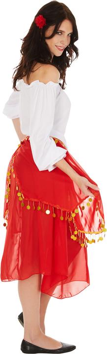 Image du produit Dressforfun Déguisement de gitane pour femmes (S)