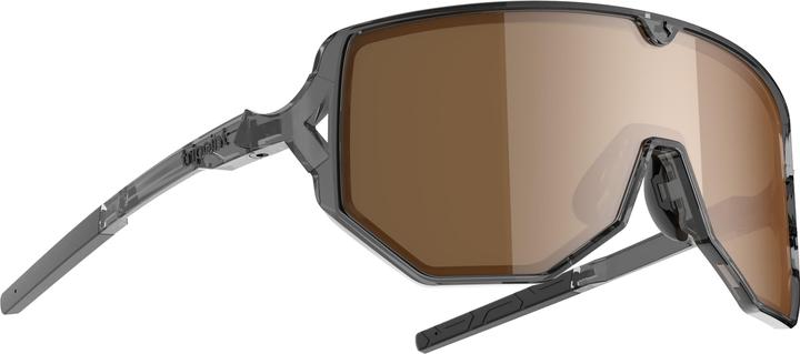 Tripoint 003 Reschen Tri-x Polarized (Shiny Transp Black-Brown, Polarisiert Grau, Biobase Nylon Lens)