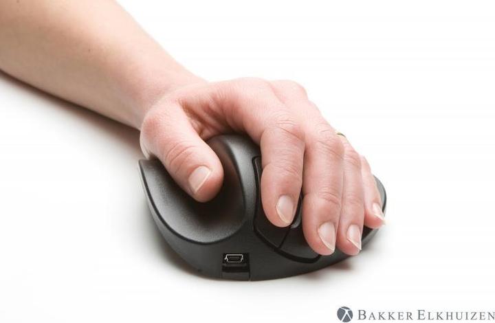 Produktbild Bakker Elkhuizen Hippus Handshoe (Kabellos)
