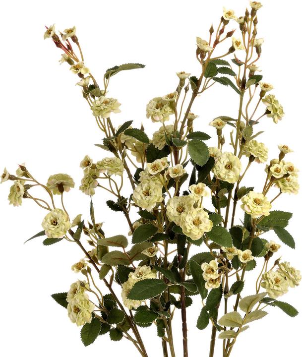 Produktbild Hill Interiors Kunstblume Wiesenrose (74 cm)