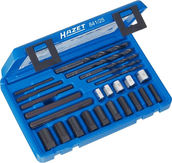 HAZET Set Di Cacciaviti