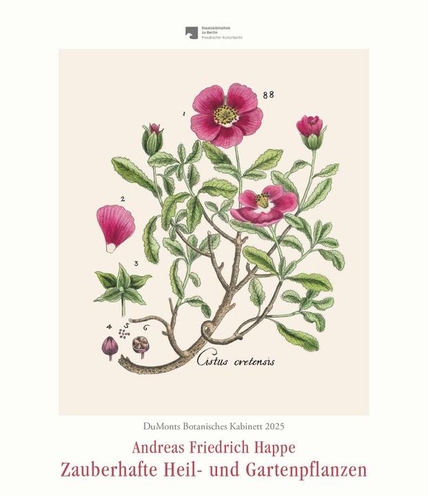 Produktbild DuMonts Botanisches Kabinett – Zauberhafte Heil- und Gartenpflanzen – Illustriert von F.A. Happe – (Harter Einband, Deutsch)