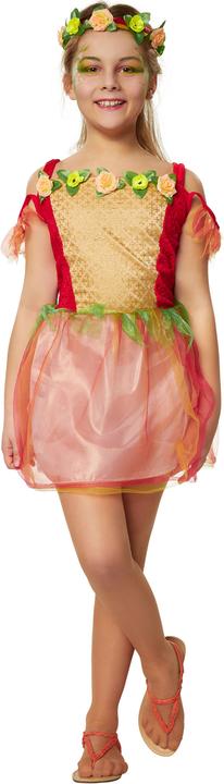 Image du produit Dressforfun Déguisement de fée des fleurs pour filles (104)