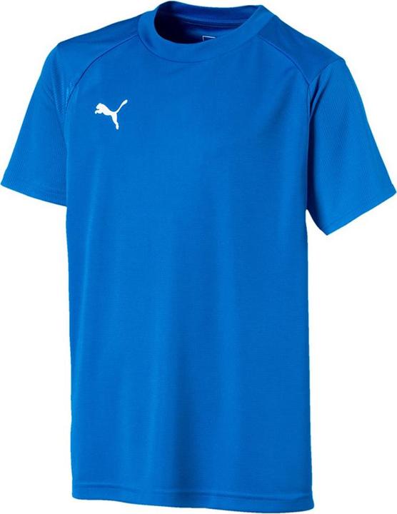 Image du produit Puma Maillot D'Entraînement Ligue Jr (128)