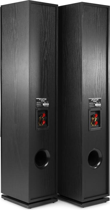 Actual product image Fenton SHF80B (1 pair, 250 W)
