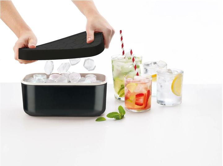 Actual product image Lékué Ice Cubes