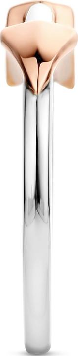 Produktbild Ti Sento Milano Ring Pfeil Perlmutt bicolor 12198MW (54, 925 Silber)