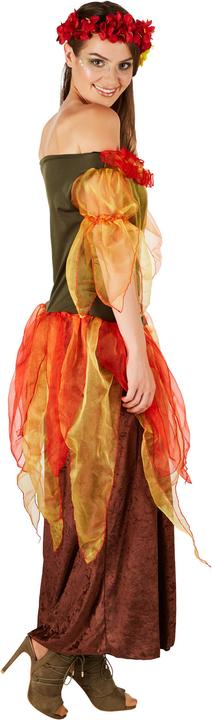 Image du produit Dressforfun Costume de fée de l’automne pour femme (L)