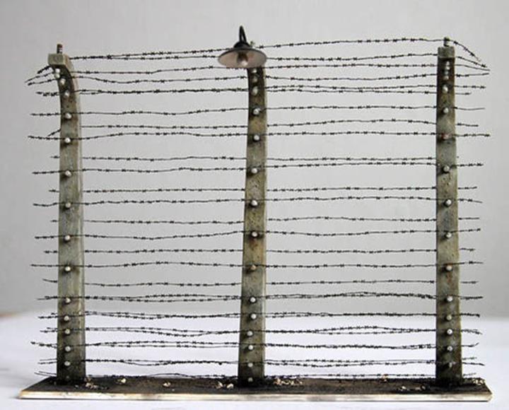 Actual product image Plus Model Barbed wire fence