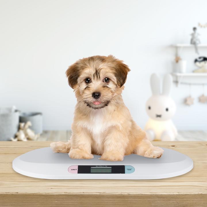 Image du produit Little Choice Pèse bébé, digital (20 kg)