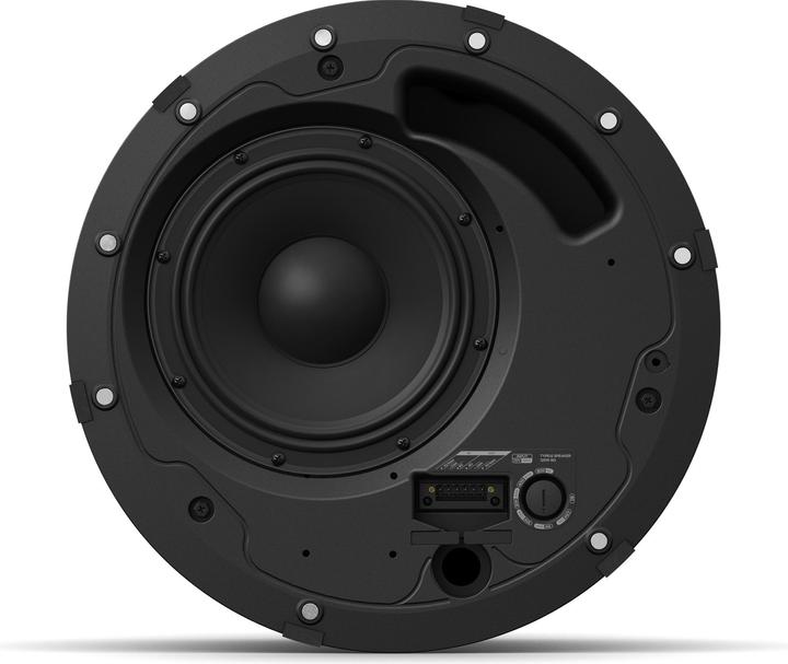 Image du produit Bose DesignMax DM8C (1 pièce)