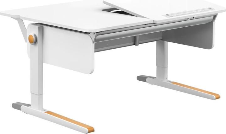 Actual product image Moll Champion (30 x 120 cm)