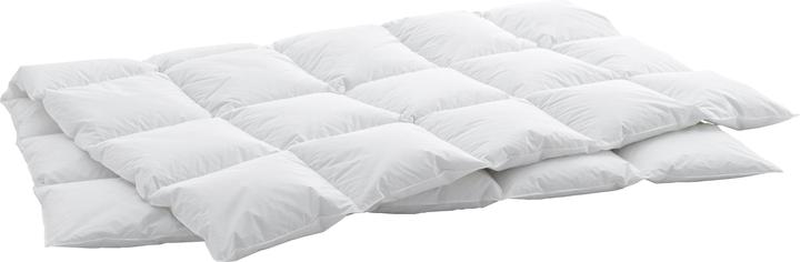 Immagine prodotto Swiss Dream by billerbeck CLC 90 Cassette Cosy (1060 g, 200 x 210 cm)