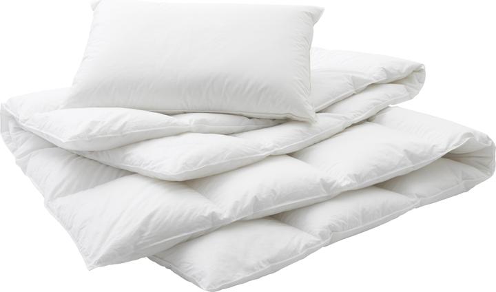 Immagine prodotto Billerbeck Luzern 90 (700 g, 160 x 210 cm)