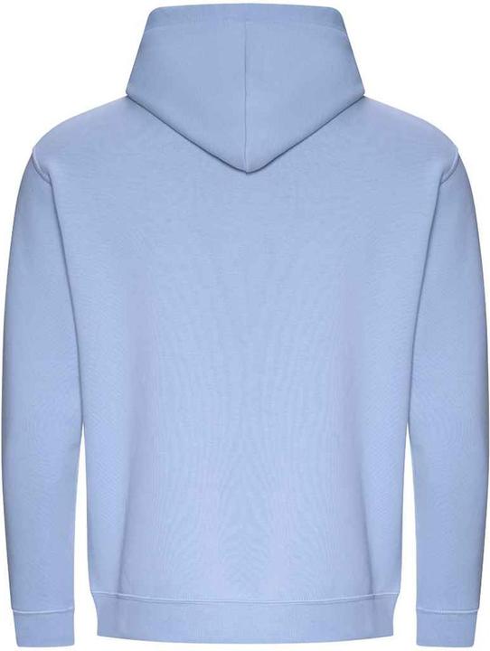 Image du produit Awdis - Sweat à capuche - Homme (XXL)
