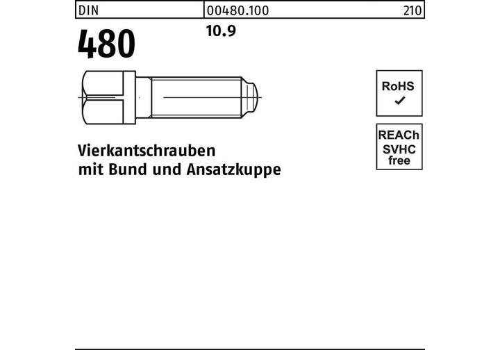 Actual product image Square head screw DIN 480 w.collar/head M 10 x 50 10.9 (50 Screws per piece)