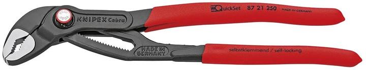 Productafbeelding Knipex Wapu tang 8721 250 (250 mm)