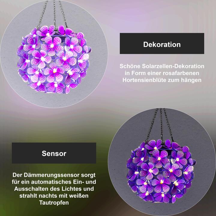 Image du produit Star Trading Hortensia (IP44)