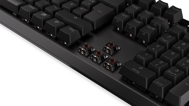 Image du produit Endorfy Clavier Thock (DE, Filaire)