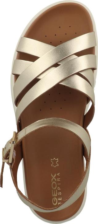 Immagine prodotto Geox D Xe 2S B - 62081 (37)