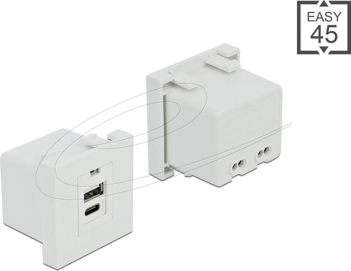 Delock Facile 45 Modulo porta di ricarica USB 1 x USB Tipo-A + 1 x USB Tipo-C (0.05 m)