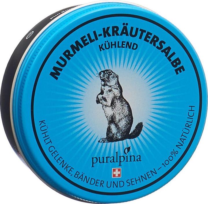 Produktbild Puralpina Murmeli-Kräutersalbe (1 x, 100 ml, 110 g)