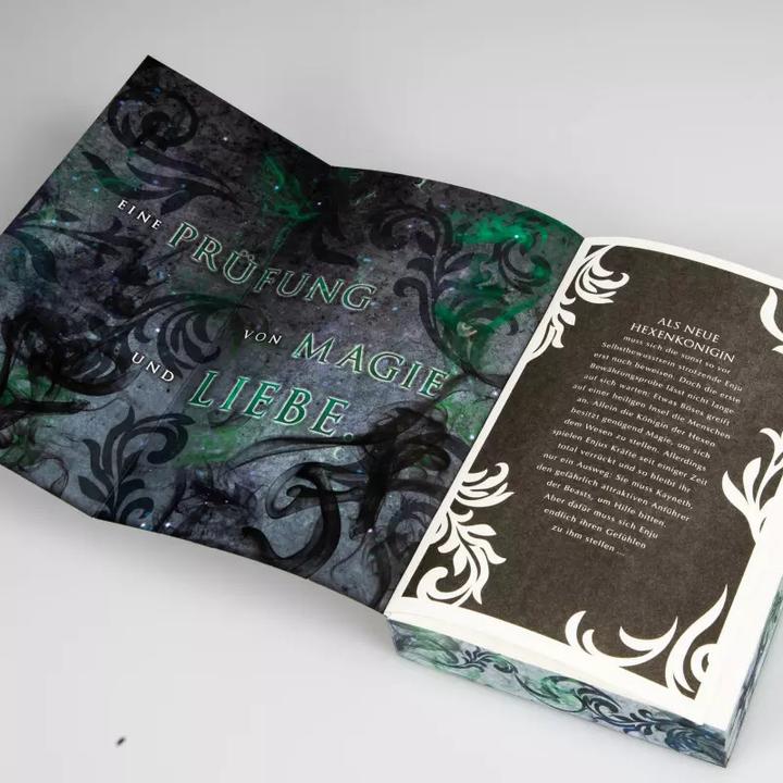 Actual product image Rise of the Witch Queen. Magic robbed (Verena Bachmann, German)