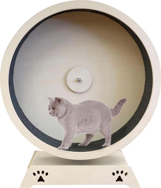 Roue de chat Rondulo