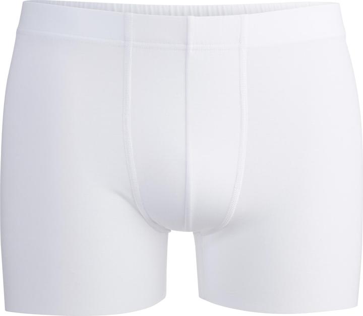 ISA Bodywear Panty