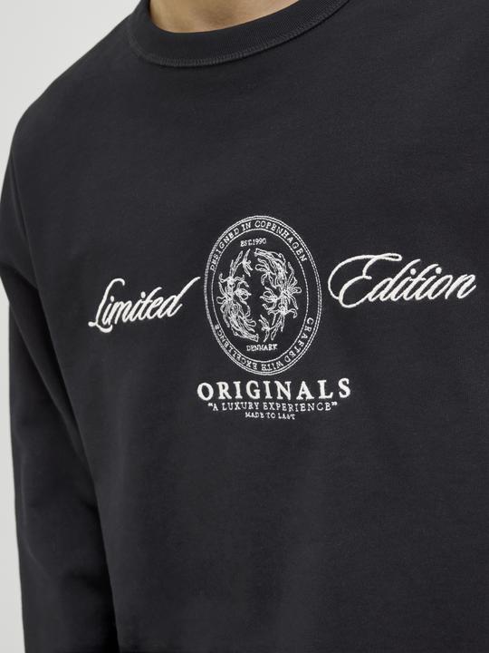 Image du produit Jack & Jones Jordia Sweat Crew Neck Ss25 (S)