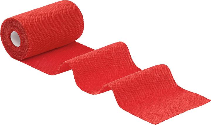 Produktbild Hartmann IDEALAST-HAFT CO R 10CMX4M