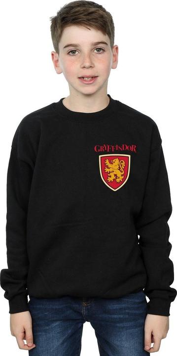Actual product image Boys Gryffindor Lion Faux Pocket Sweatshirt (104)