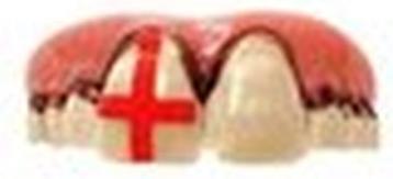 Metamorph England Fan