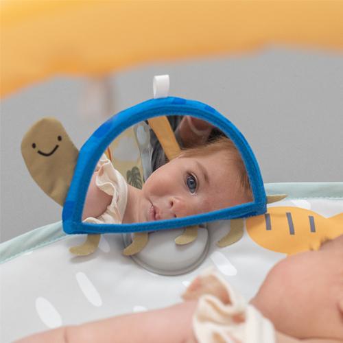Productafbeelding Taf Toys Savannah