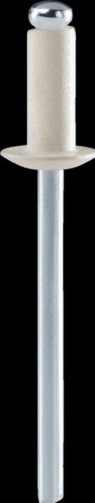 Productafbeelding Rapid Witte blindklinknagels Ø 4,8 x 12 mm