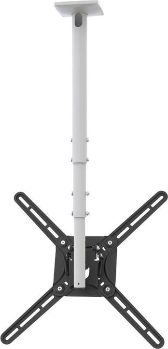 Actual product image Barkan Ceiling bracket (Ceiling, 65", 40 kg)