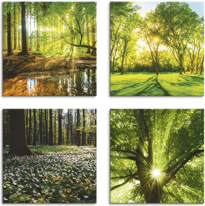 Image du produit Artland Forêt Ruisseau Printemps Rose des vents Soleil Arbre K2FR (30 x 30 cm)